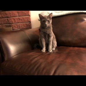 Meet your Posher, Gretchen